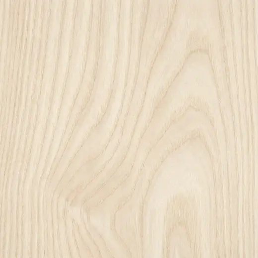 Esche hell, Musterplatte für Innenausbau